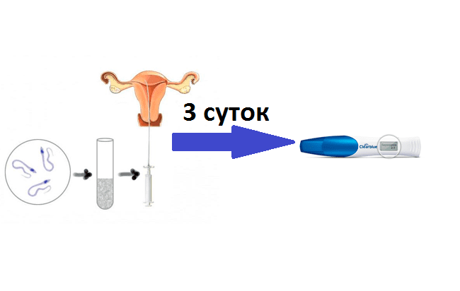 Подсаживали 2 эмбриона. Перенос эмбрионов при эко. После подсадки эмбриона. Подсадка эмбриона в матку. Имплантация после криопереноса.