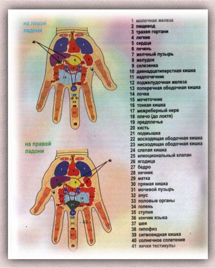 Определить заболевание по рукам. Расположение органов на ладошке. Болезни по точкам на ладони. Точки органов на ладони. Диагноз по ладони.