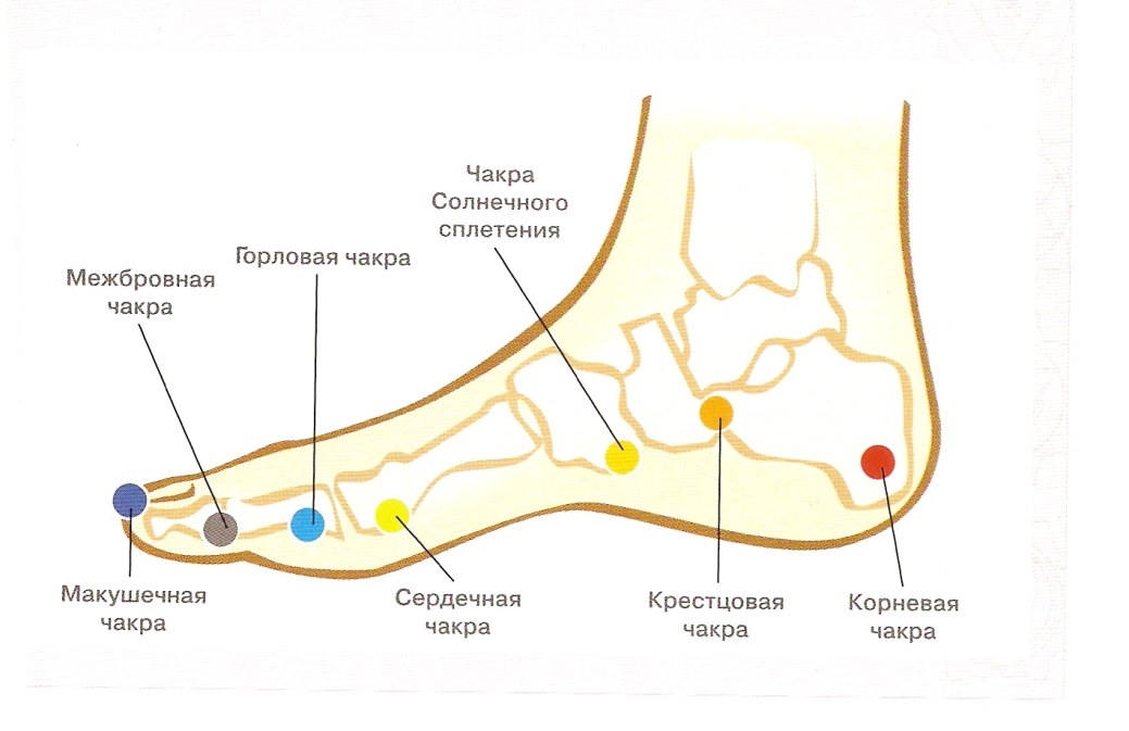 Тревога в солнечном сплетении. Солнечное сплетение. Чакры и нервные сплетения. Точка солнечного сплетения. Чакры на стопах.