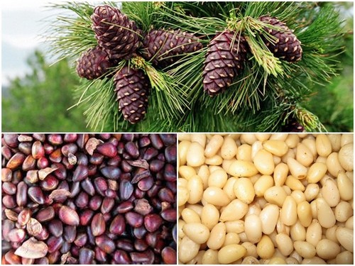 как правильно выбрать 