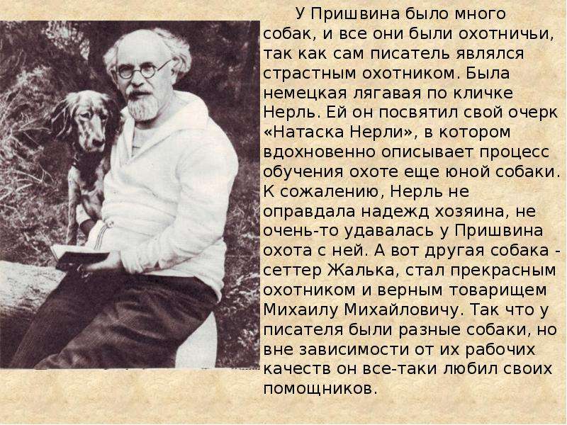 Человечность пришвину текст. Пришвин Михаил Михайлович с собакой. Михаил пришвин с собакой. Михаила Михайловича Пришвина. Собака. Михаил пришвин охотничьи собаки.