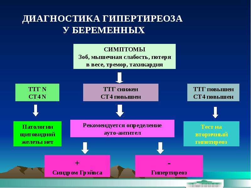 Гипертиреоз влияние. Методы диагностики гипертиреоза. Гипертиреоз ТТГ. Диагностические критерии гипертиреоза. Диагностика при гипертиреозе.