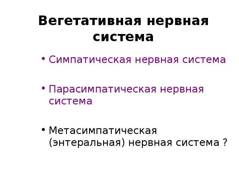 Энтеральная нервная система. Энтеральная нервная система функции. Энтерплтная вегетативная система. Саморегуляция вегетативных функций.