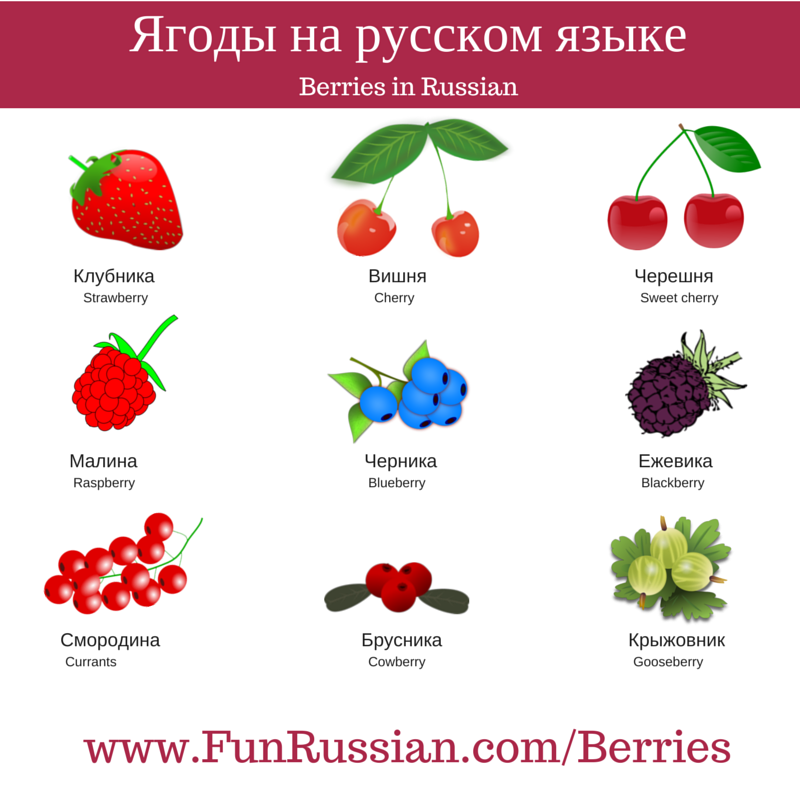 Ягоды перечисление. Названия ягод на английском. Ягоды на чувашском языке. Ягоды картинки с названиями. Транскрипция слова ягода