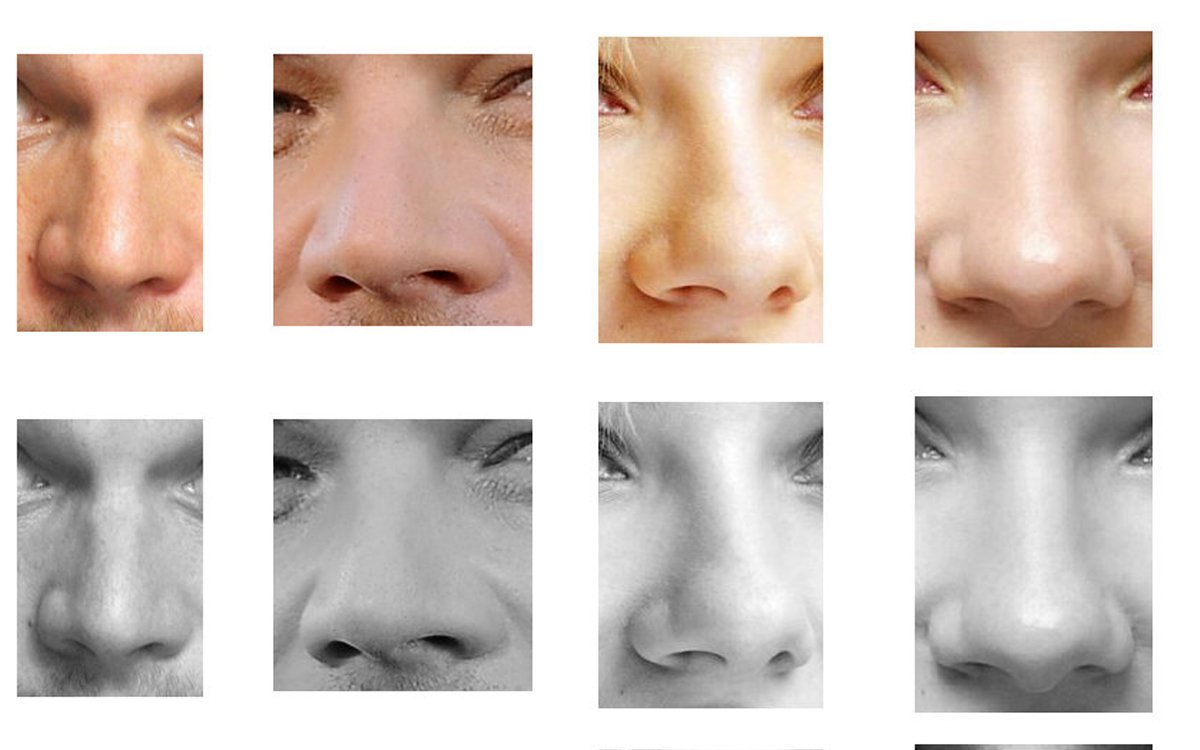 Под каким носом. Физиогномика формы Носов. Формы носа. Типы носа. Разные носы.