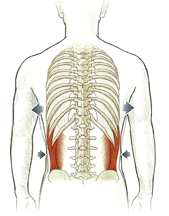 Болит мышца спины справа. Болит нижнее левое ребро. Спина справа.
