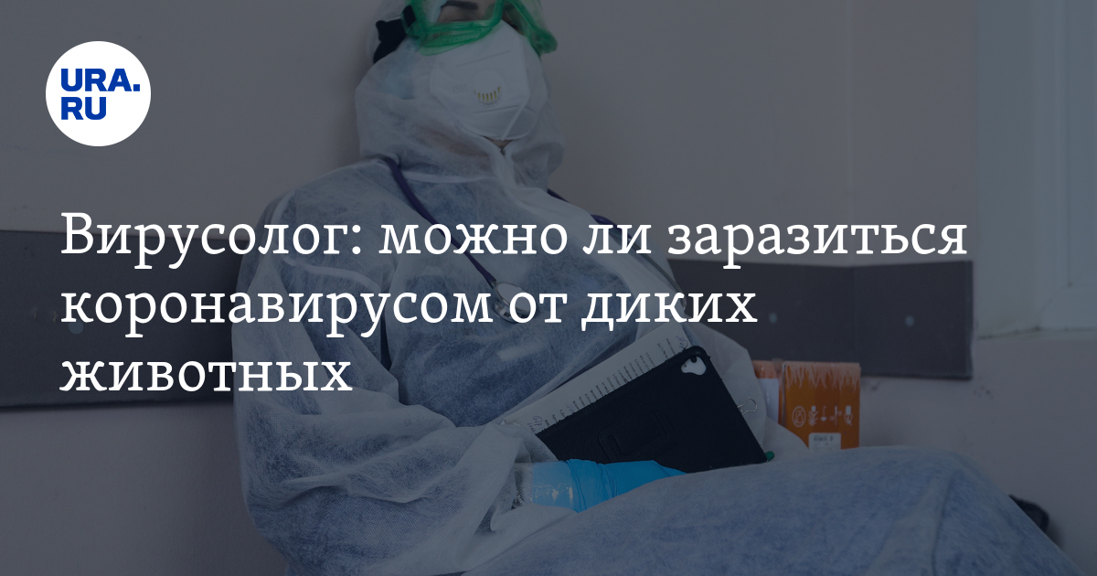 Пожелал заболеть онкологией. Можно ли заразиться онкологией от больного человека.
