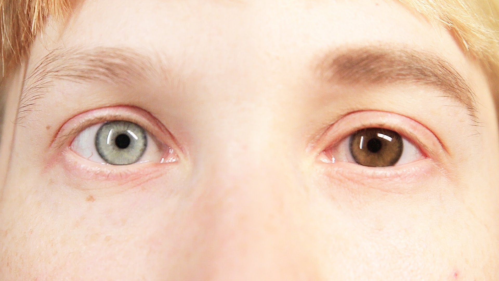 Как сделать гетерохромию глаз в домашних условиях