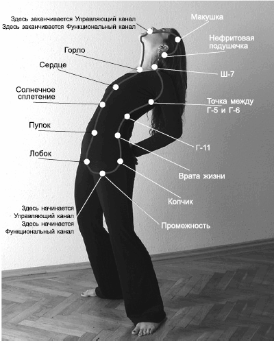 Где находится солнечное сплетение у женщин фото рисунки симптомы и лечение