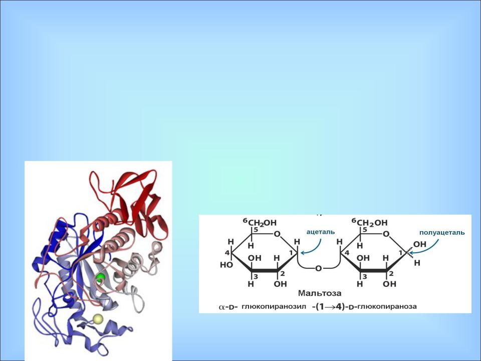 Активность фермента амилазы. Альфа амилаза фермент. Альфа амилаза строение. Амилаза строение фермента. Фермент амилаза формула.