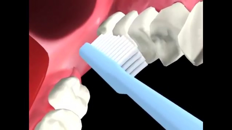 Видео как правильно чистить. Чистка зубов в Корее.