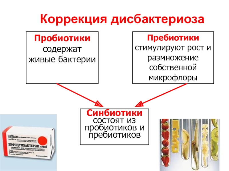 Пробиотики и пребиотики презентация