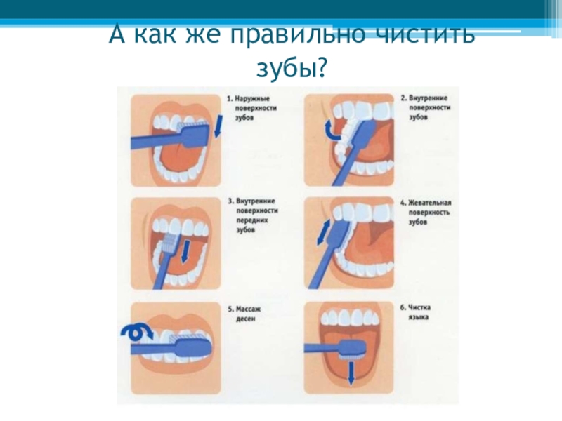 Как чистить зубы щеткой. Схема чистки зубов электрической зубной щеткой. Как правильно чистить зубы. Как правильно чистить зубы зубной щеткой. Схема как чистить зубы электрической щеткой.