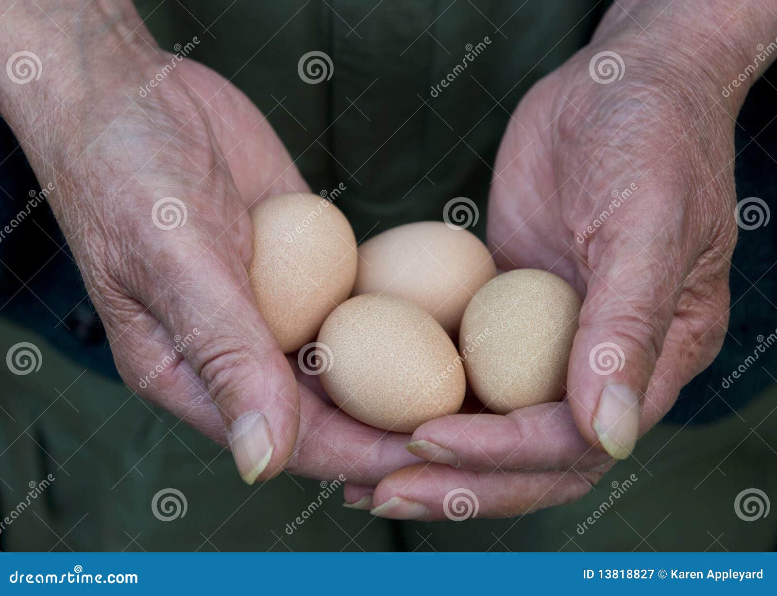 Плотное яичко. Здоровые человеческие яйца. Яйца пожилого человека.