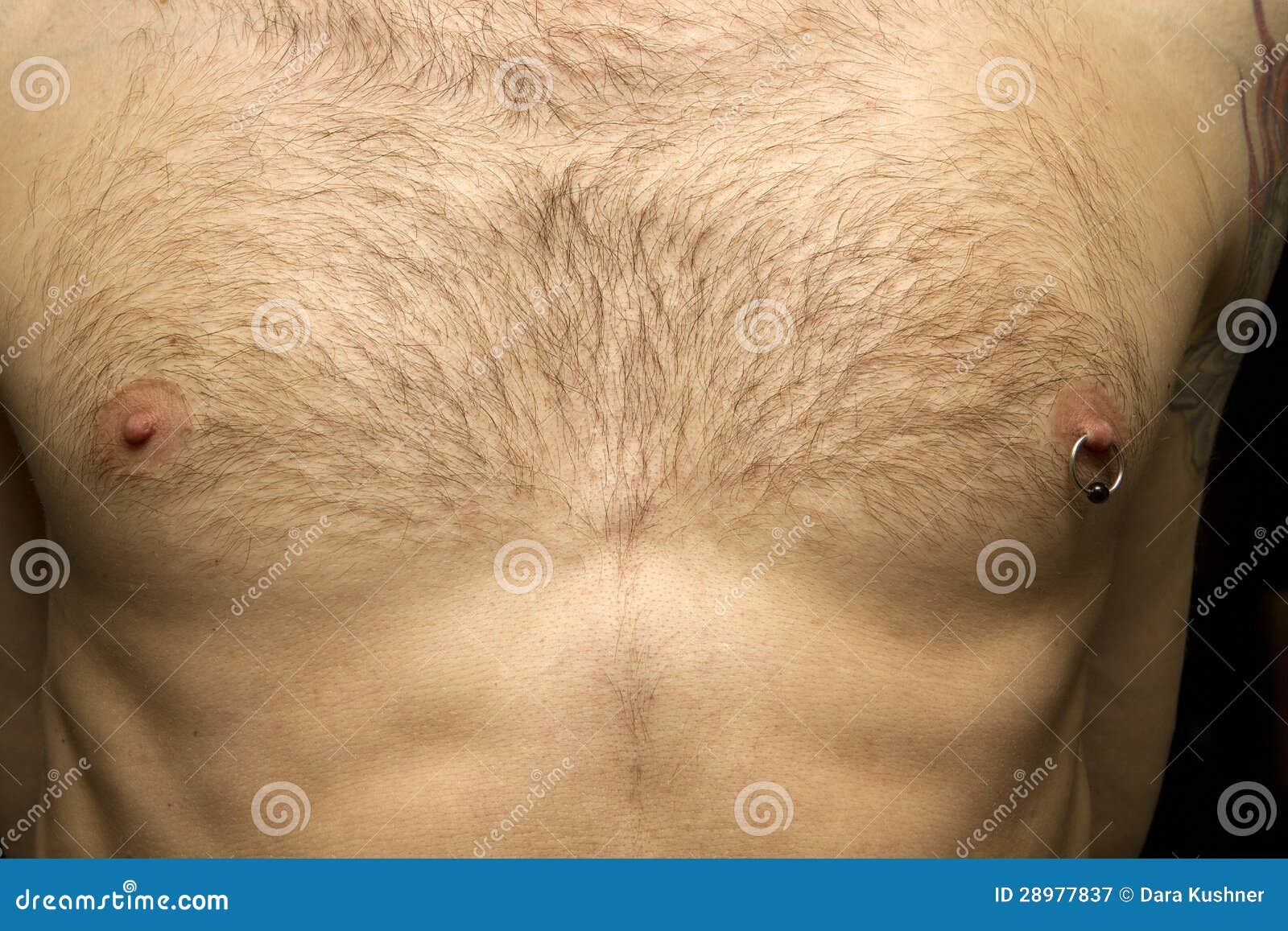 кожа у мужчин на груди фото 110