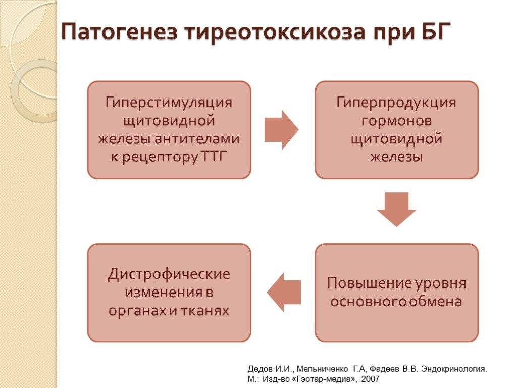 Патогенез тиреотоксикоза. Патогенез основных проявлений гипертиреоза.. Механизм развития симптомов при тиреотоксикозе. Гипертиреоз механизм развития симптомов. Гипертиреоз патогенез симптомов.