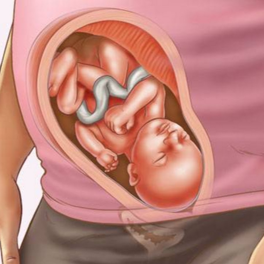 32 недели что происходит с малышом. Расположение ребенка в утробе.