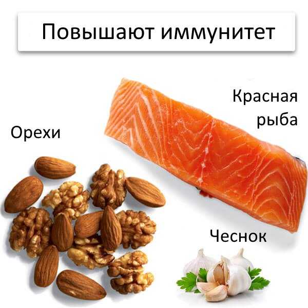 Повышение иммунитета. Продукты повышающие имму. Продукты для поднятия иммунитета. Продуктв для паышения иммунитет. Продукты для повышения иммунитета.